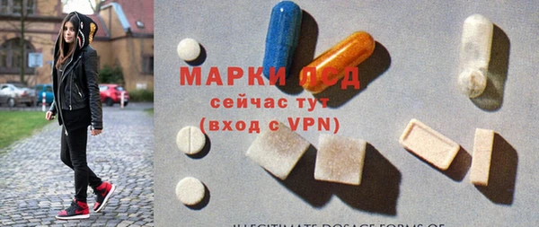 гашик Алексин