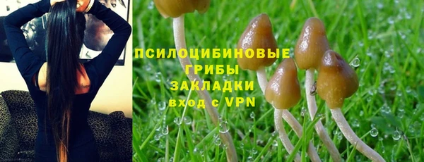 мескалин Абаза