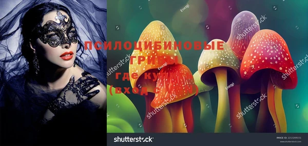 соль ск Абинск