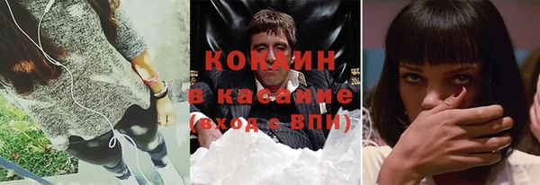 гашик Алексин