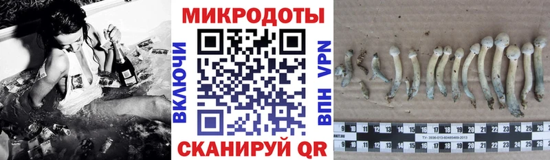 Псилоцибиновые грибы MAGIC MUSHROOMS Нерчинск