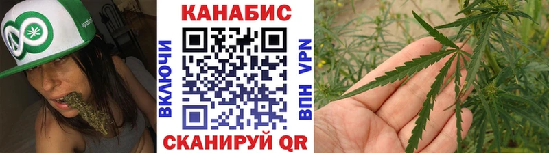 купить  сайты  Нерчинск  Каннабис SATIVA & INDICA 